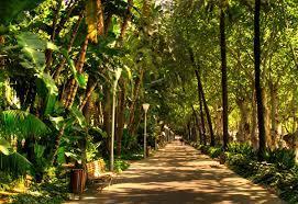 Paseo del Parque-de