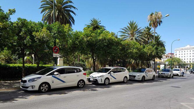 Taxis