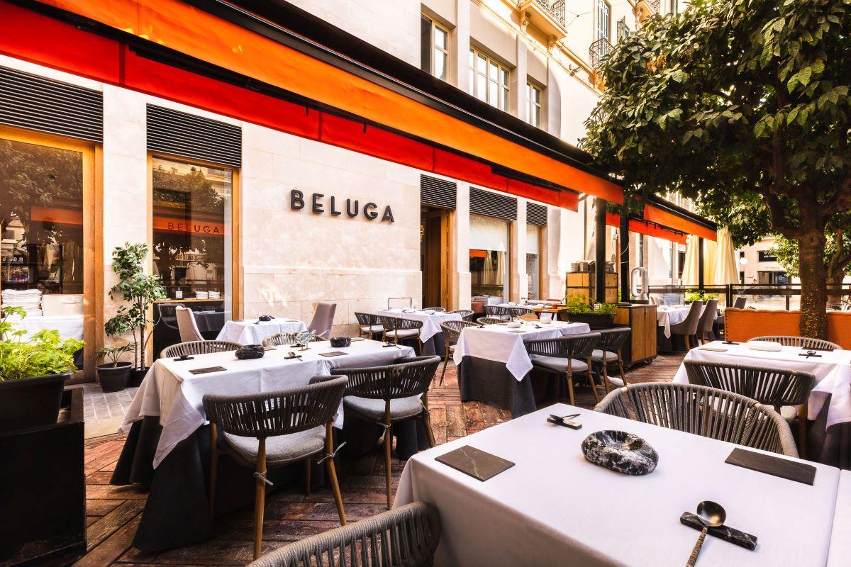 Beluga