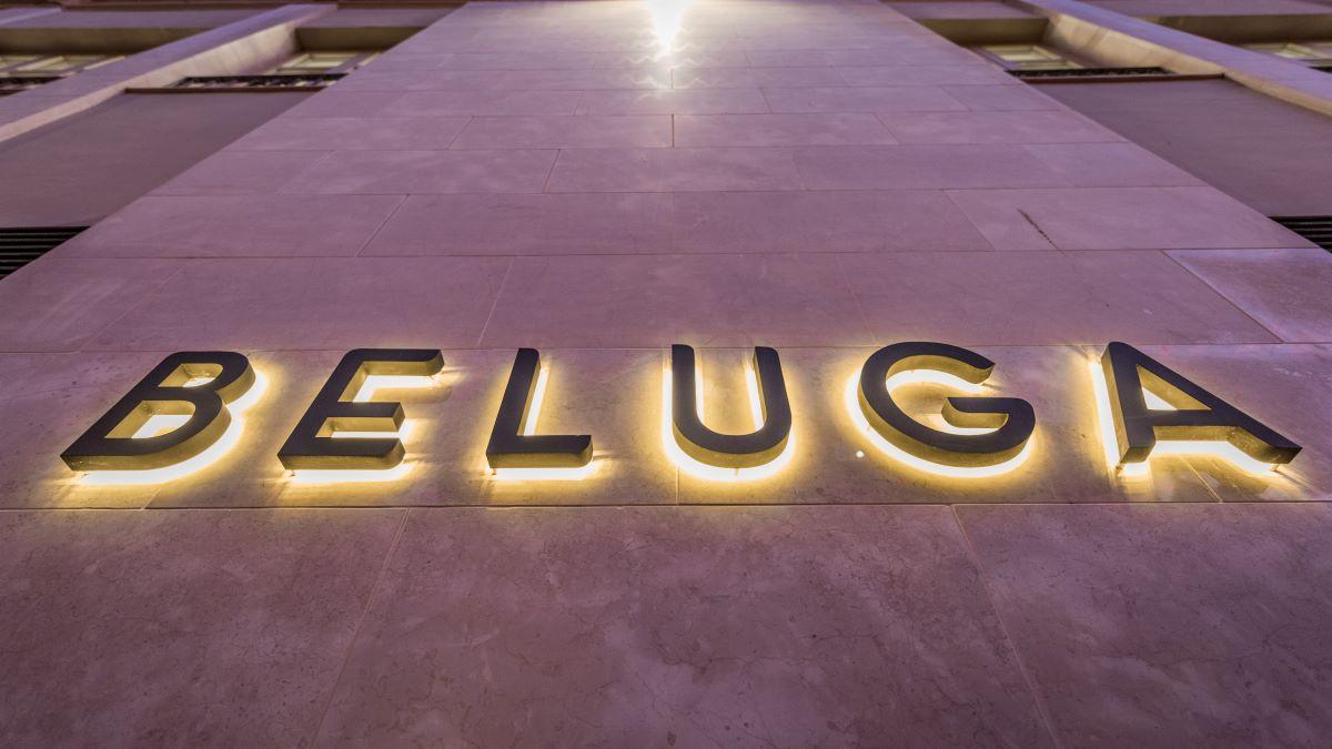 Beluga