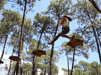 AMAZON adventure