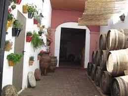 Le musée du vin